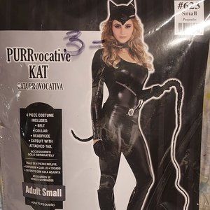 PURRvocative Kat costume
